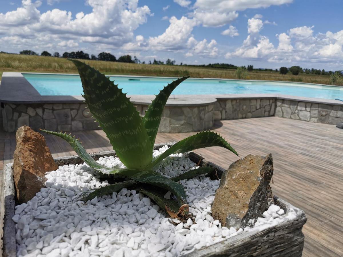 Casale Dei Gelsi Bed and Breakfast Castiglione In Teverina Εξωτερικό φωτογραφία