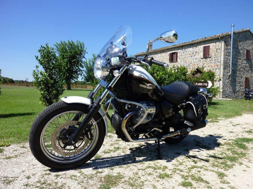 Casale Dei Gelsi Bed and Breakfast Castiglione In Teverina Εξωτερικό φωτογραφία